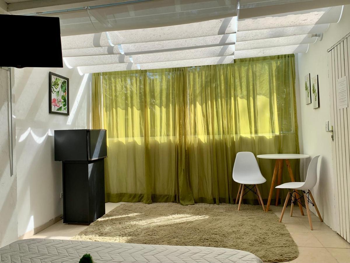 Pousada Serra Das Araucarias Petfriendly - Caofe Da Manha Pet São Roque 외부 사진