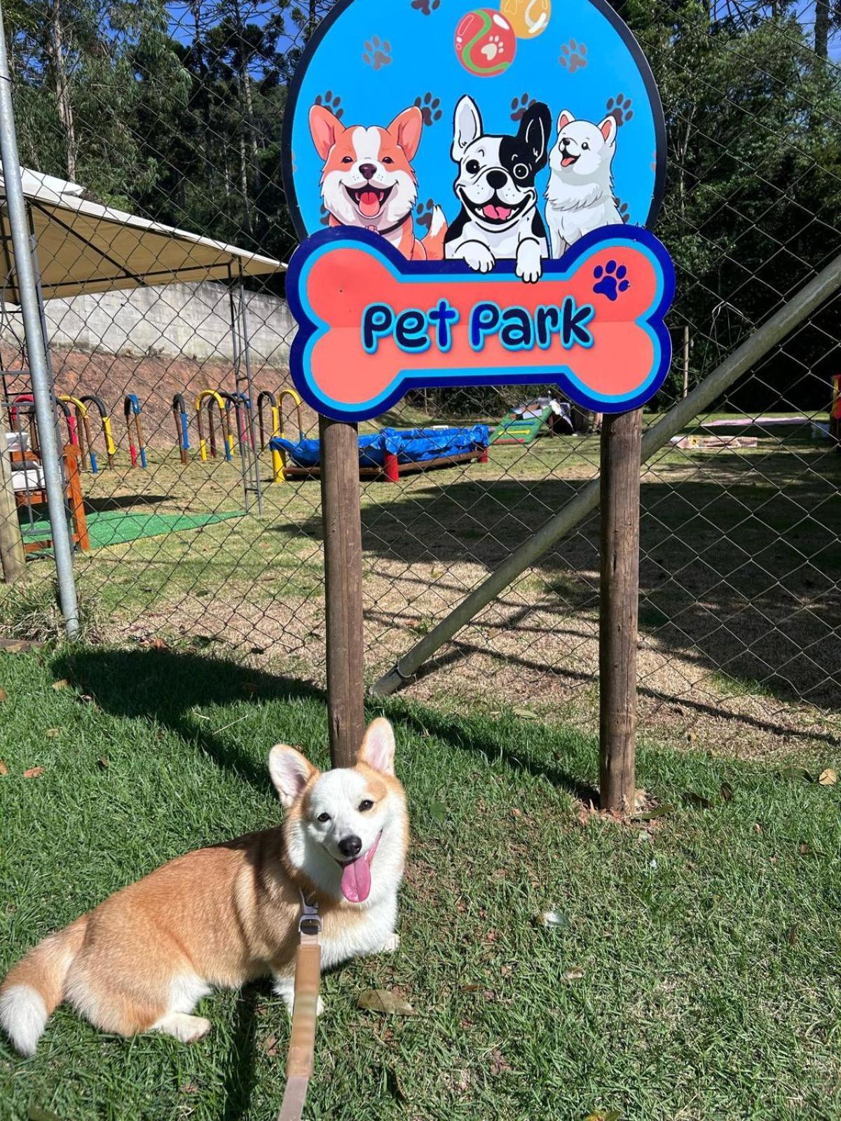 Pousada Serra Das Araucarias Petfriendly - Caofe Da Manha Pet São Roque 외부 사진